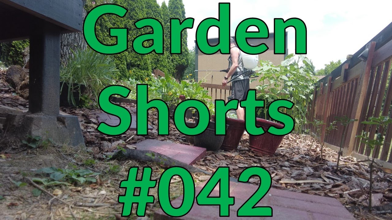 Garden Shorts 042