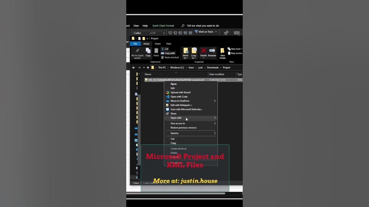 Microsoft Project and XML Files
