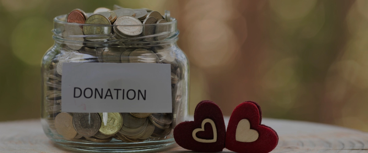 Transforming Donation Management for an NGO with Salesforce NPSP | Success Story