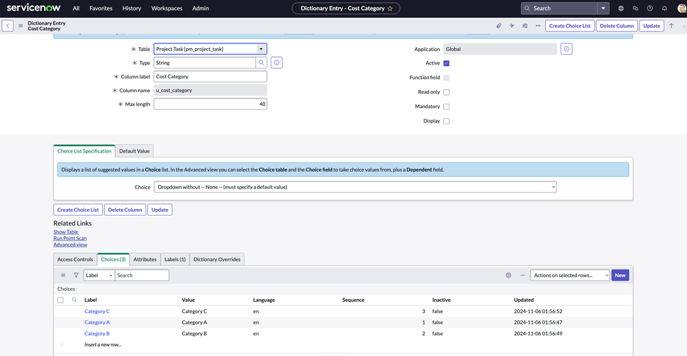 Configuring custom financial planning attributes to categorise labor costs based on the RAs