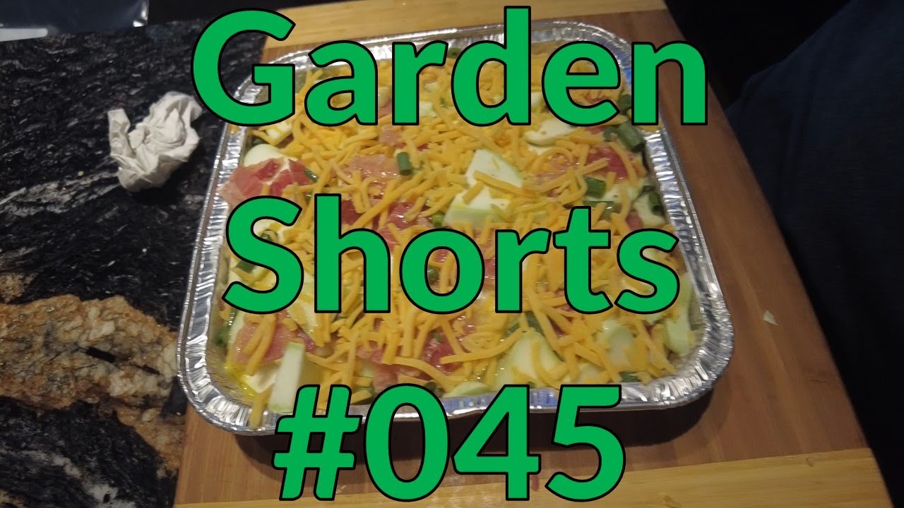 Garden Shorts 045