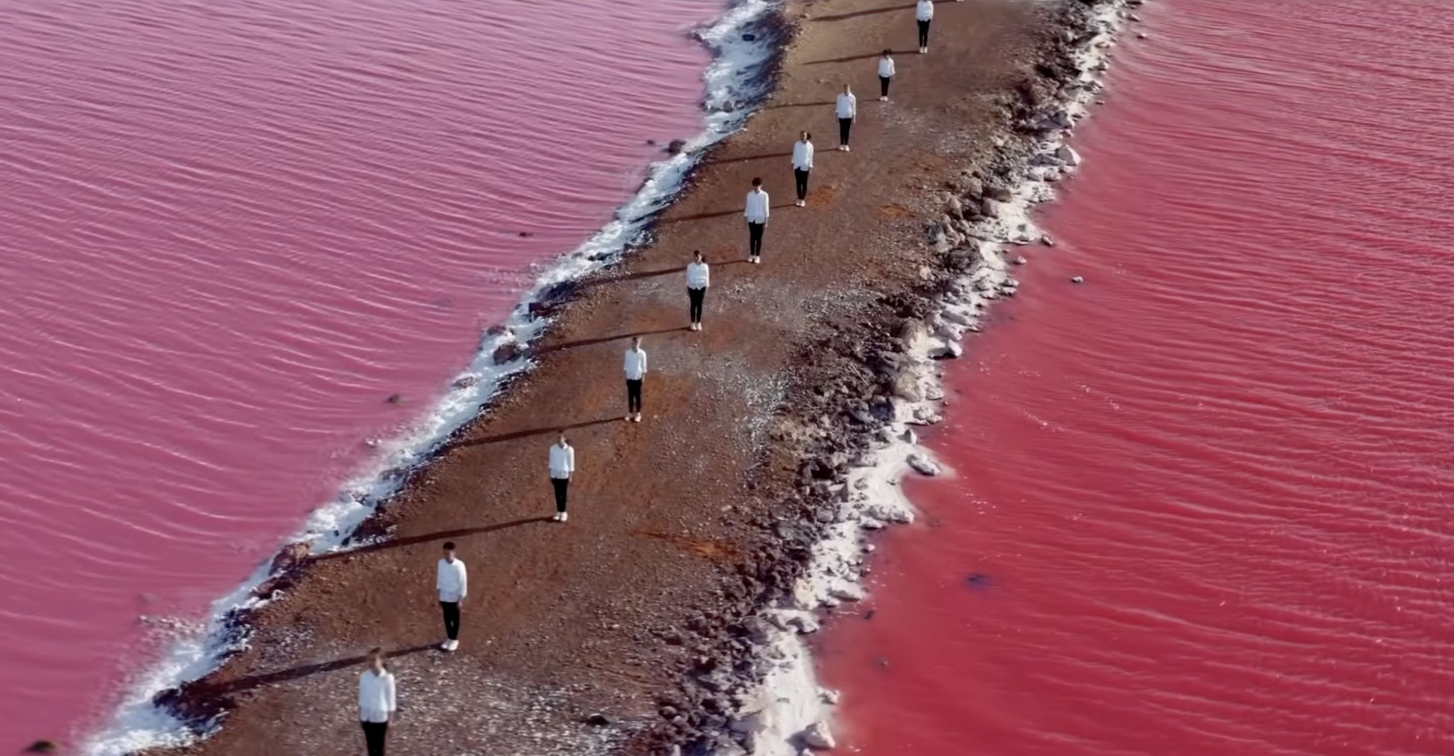 Aussie Animals Sing Iconic Qantas Anthem