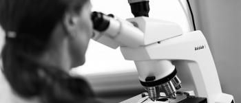 Microscopes optiques