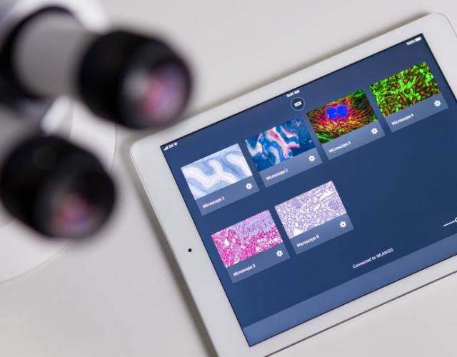 ZEISS Labscope Logiciel de Microscopie