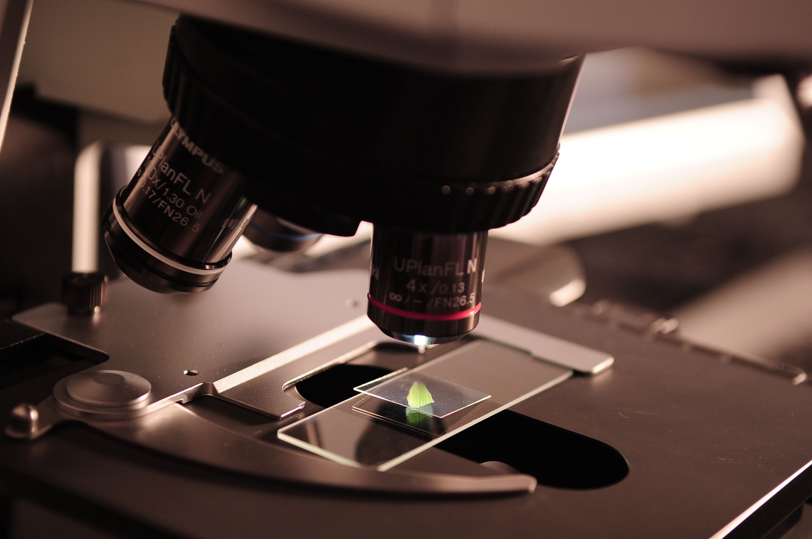 Microscopes et solutions d'imagerie