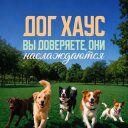 @doghouse_msk