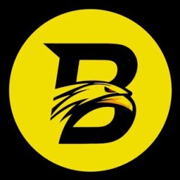@berjiis.ir