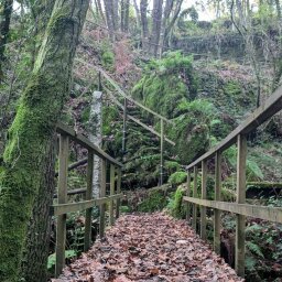 Beitrag 5 von @natureza_lusitana