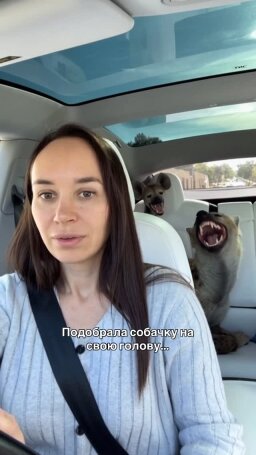 @dasha_cher hesabının 3 numaralı gönderisi