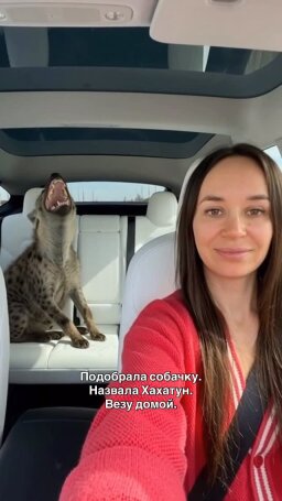 @dasha_cher hesabının 4 numaralı gönderisi