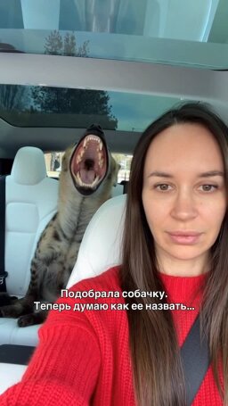 @dasha_cher hesabının 6 numaralı gönderisi