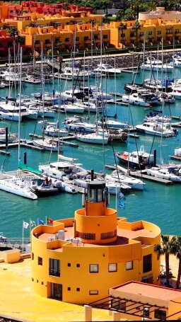@portal_algarve hesabının 4 numaralı gönderisi