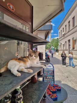 Публікація 4 профілю @mostar.forever