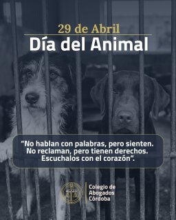 Post 6 di @colegio.abogados.cordoba