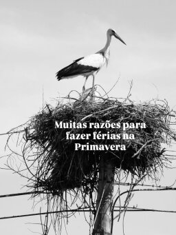 Publicação 2 de @turismotresmarias