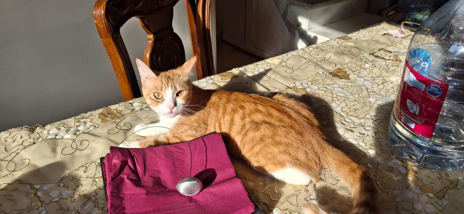 صورة بسبوسه