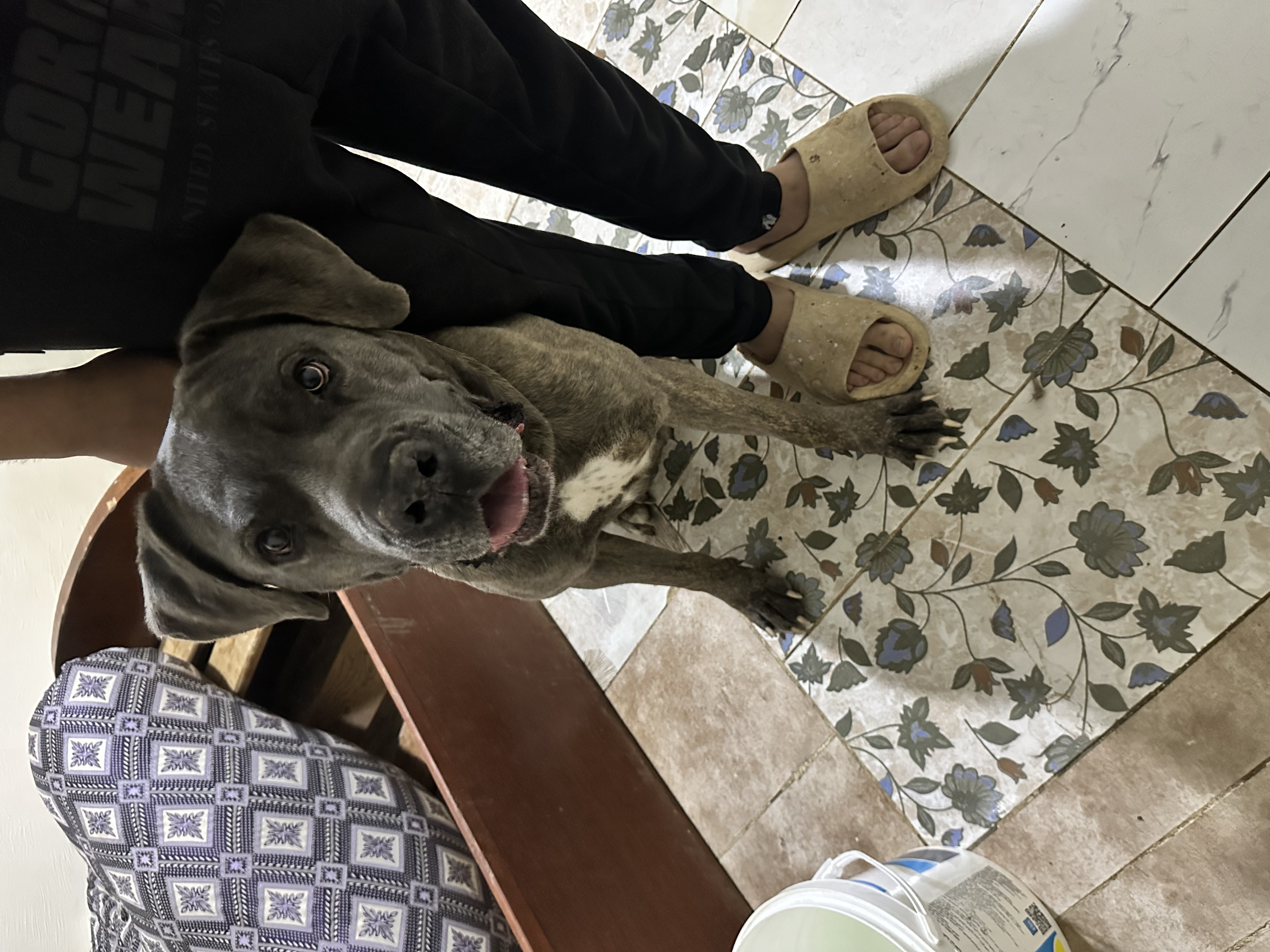 صورة اوسكار