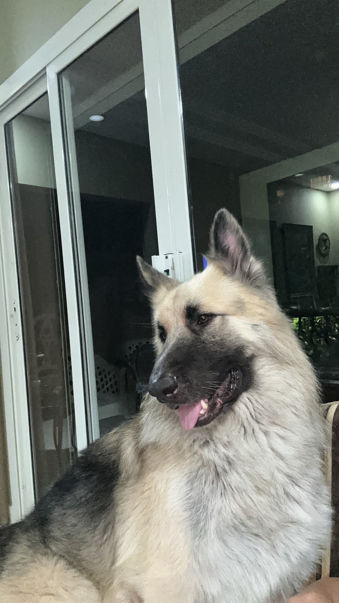 صورة Alfi