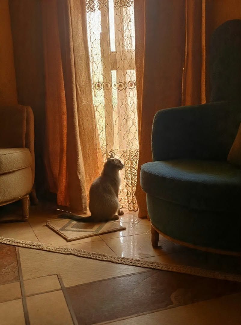 صورة Tota