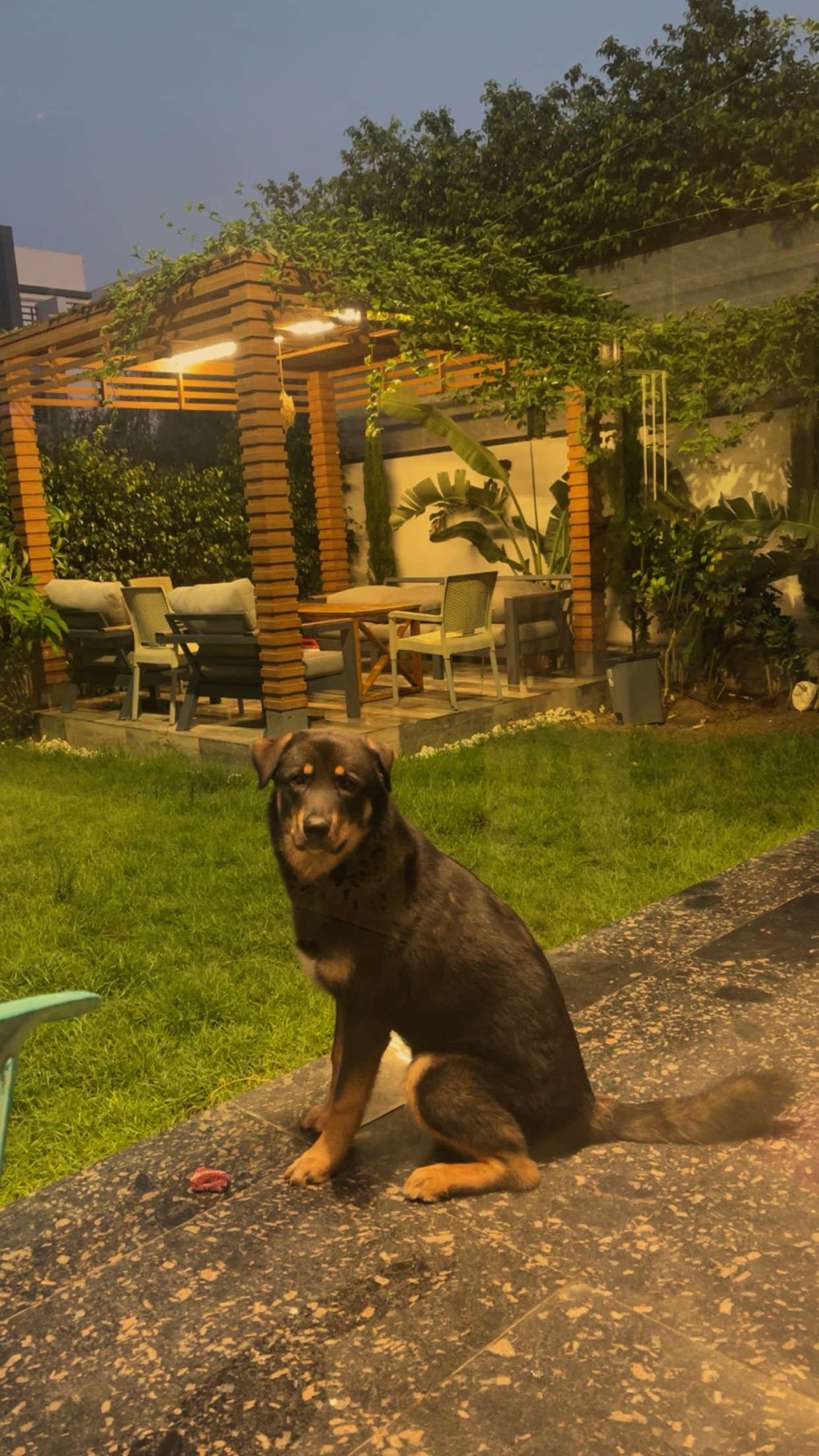 صورة Rocky