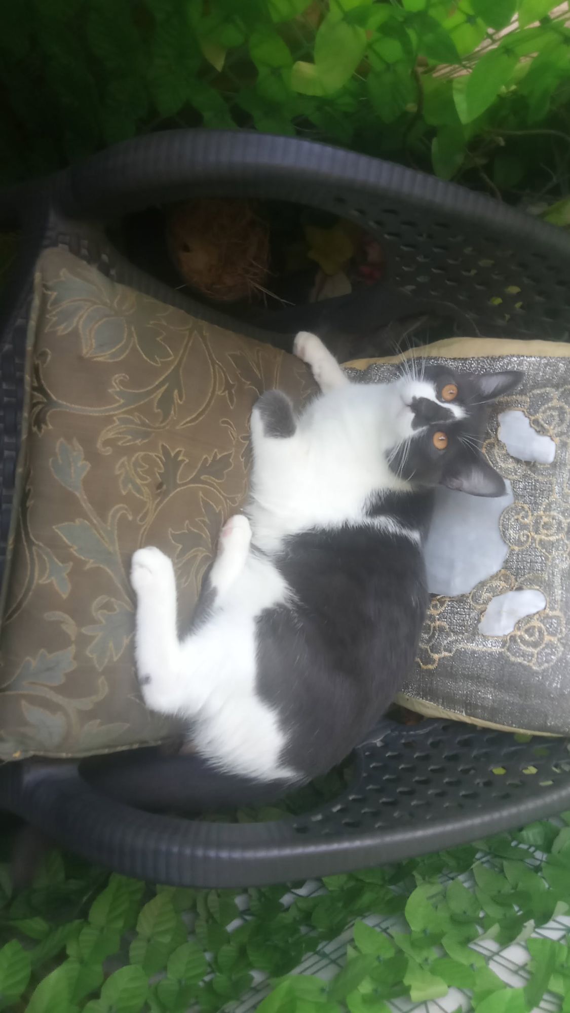 Tom 2