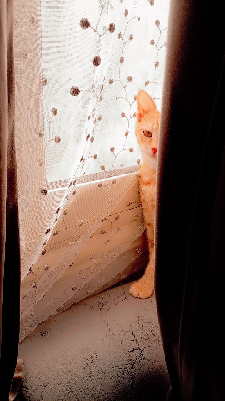 مًشُمًشُهّ🤭 2