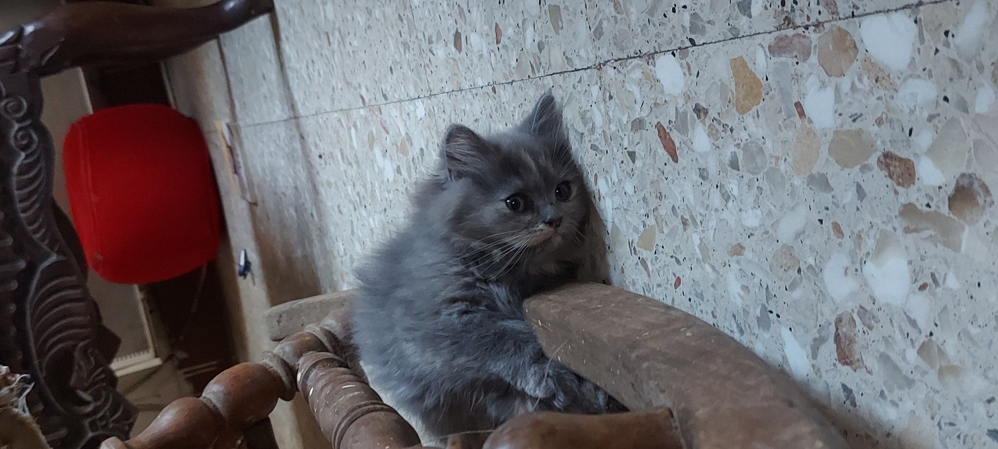 بكيزة 2