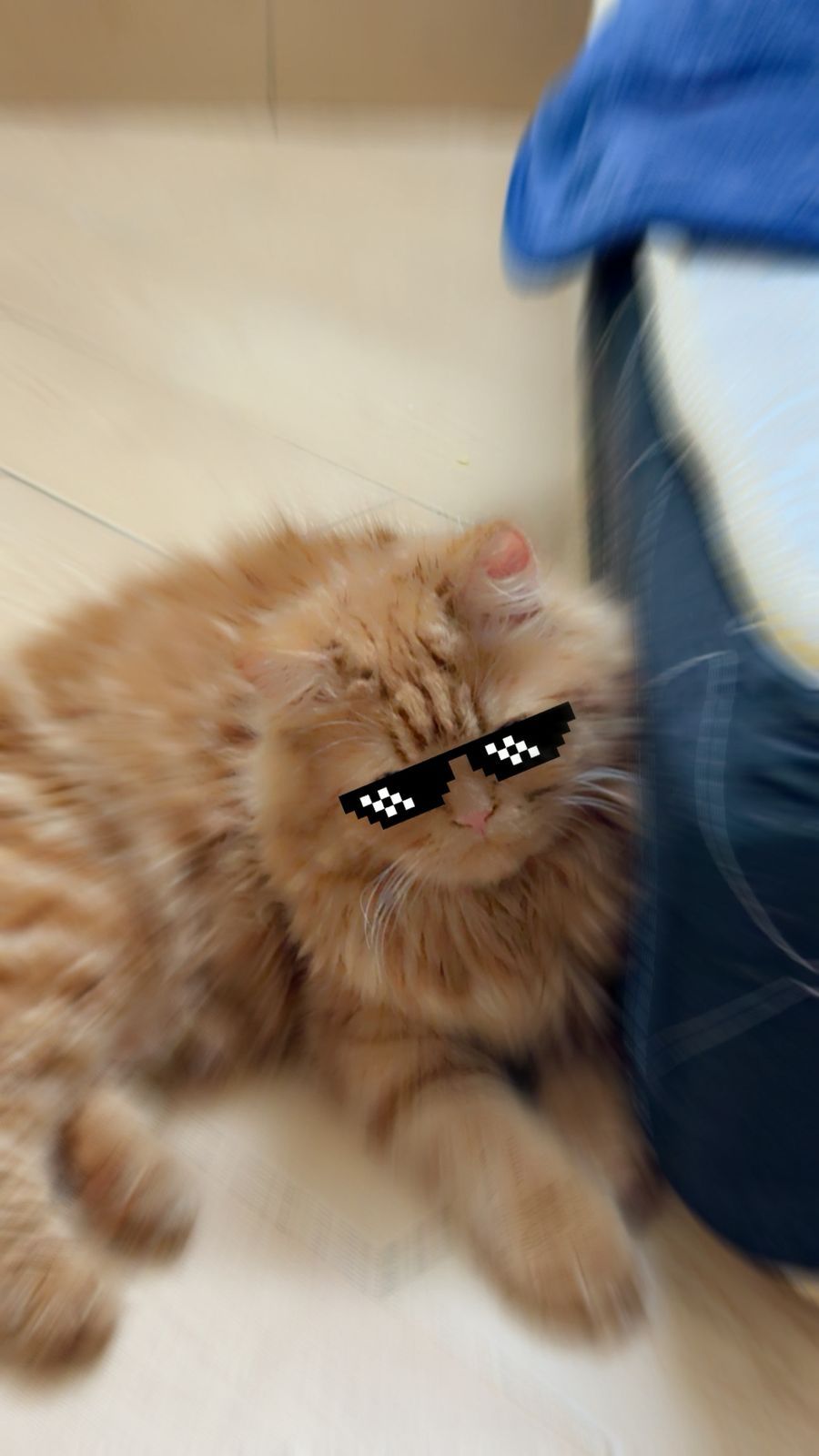 بسبوسة 2