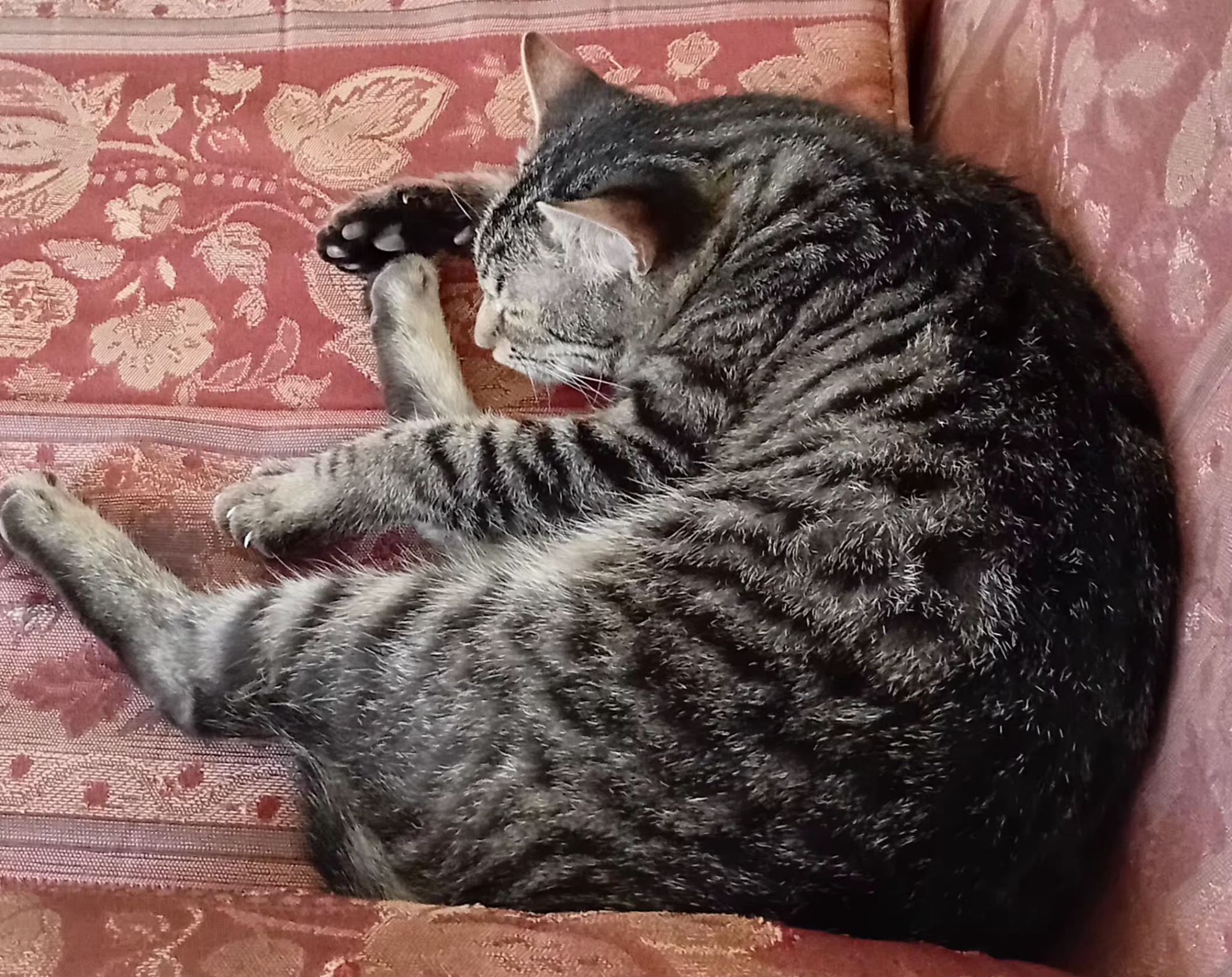 فتفوتة السكر 2