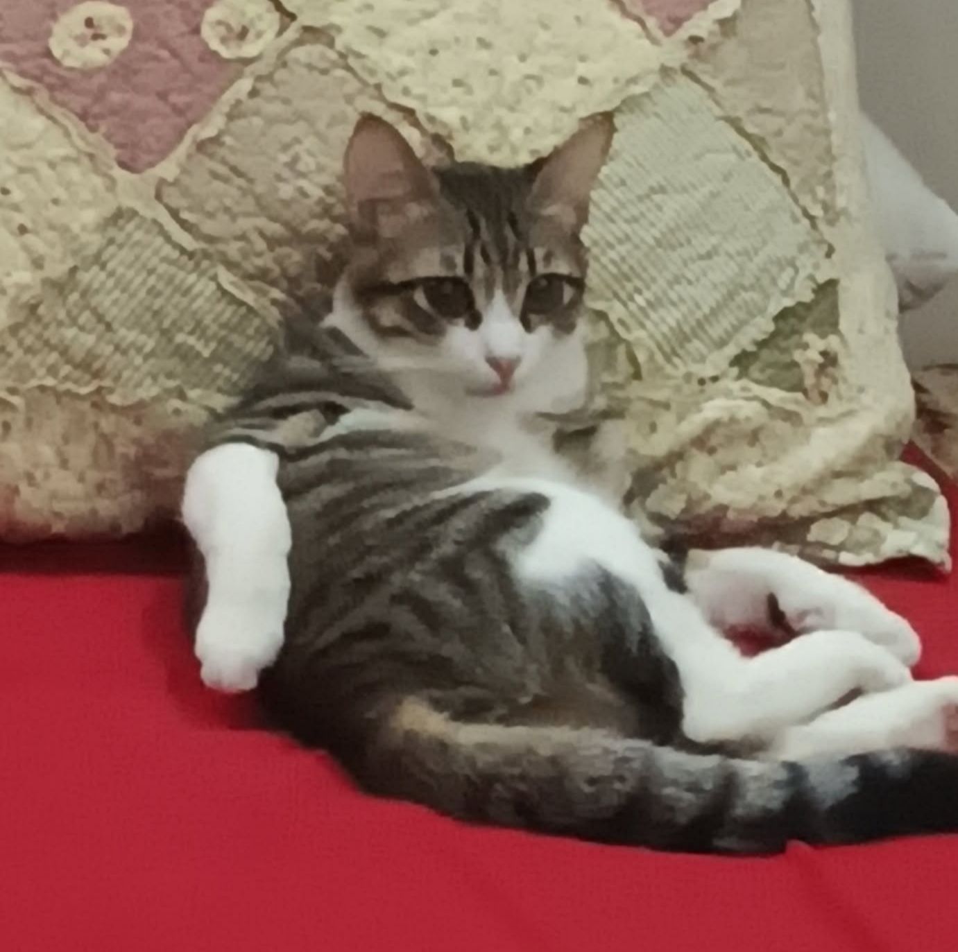 سمار 2