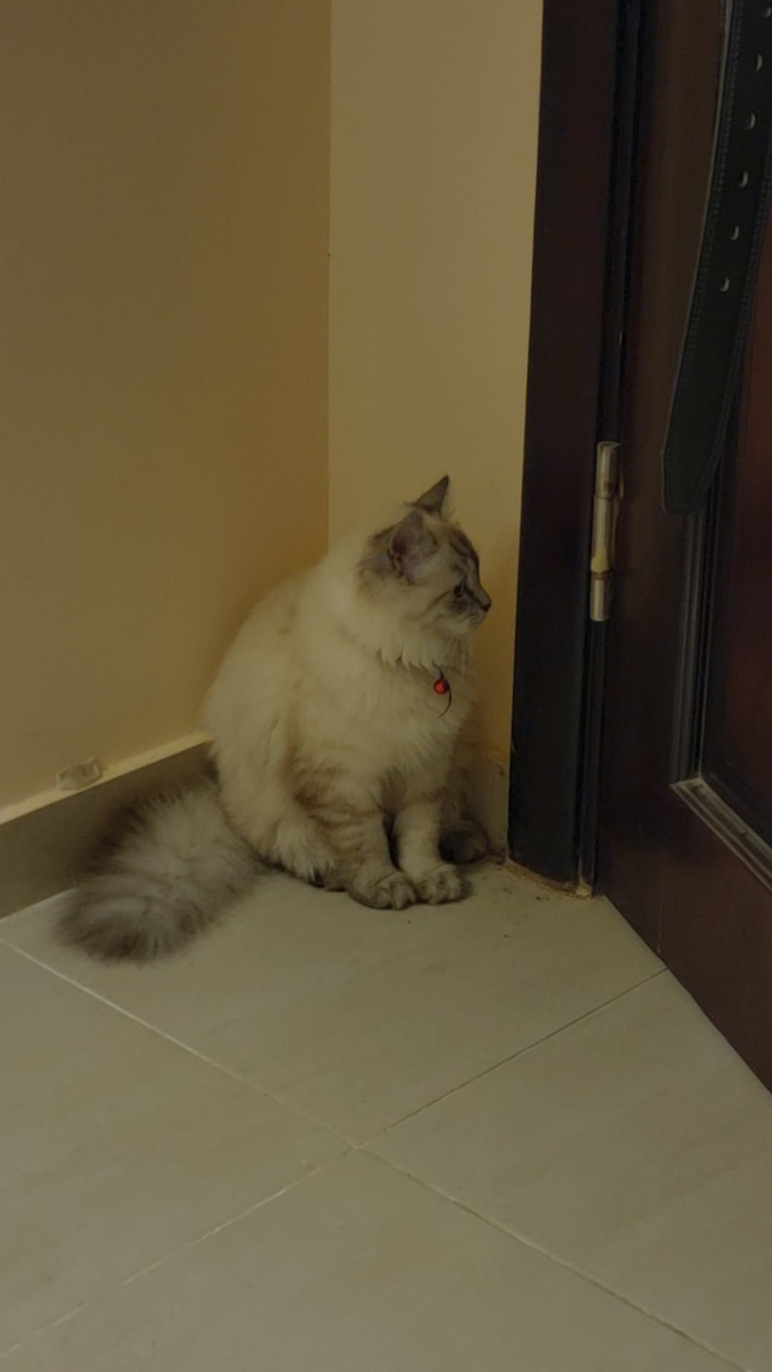 Billa 2