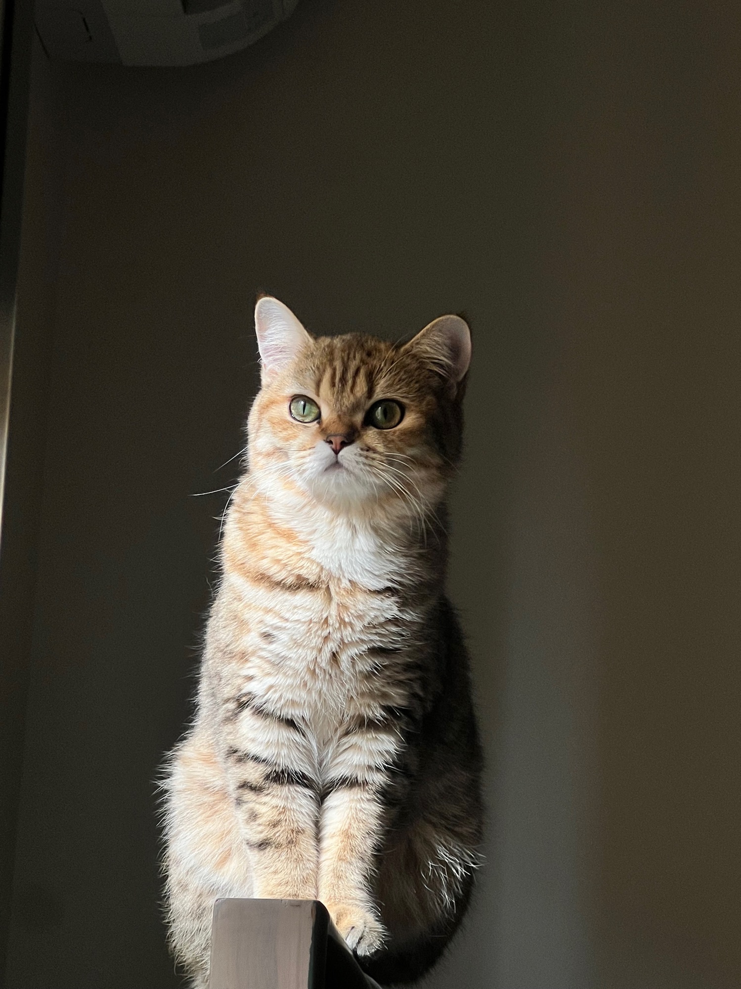 Luna 2