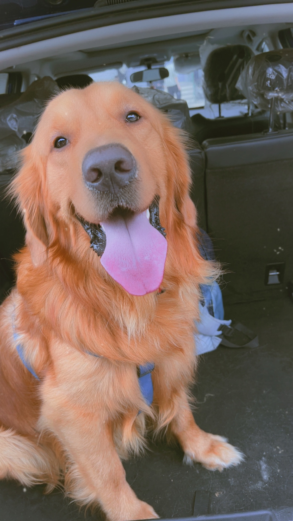 Winnie 2