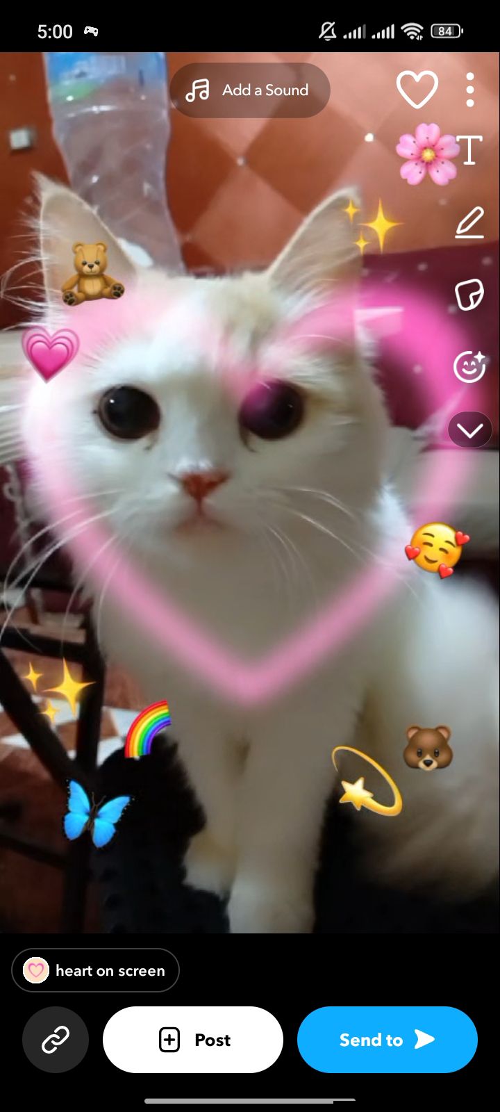 Anisa✨ 2