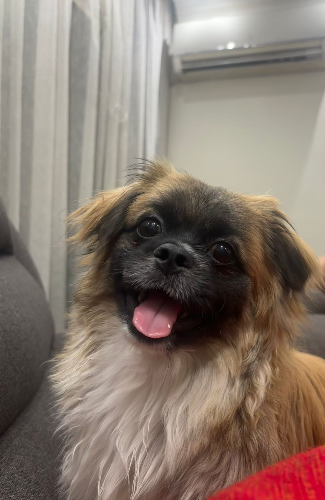 Mylo 2
