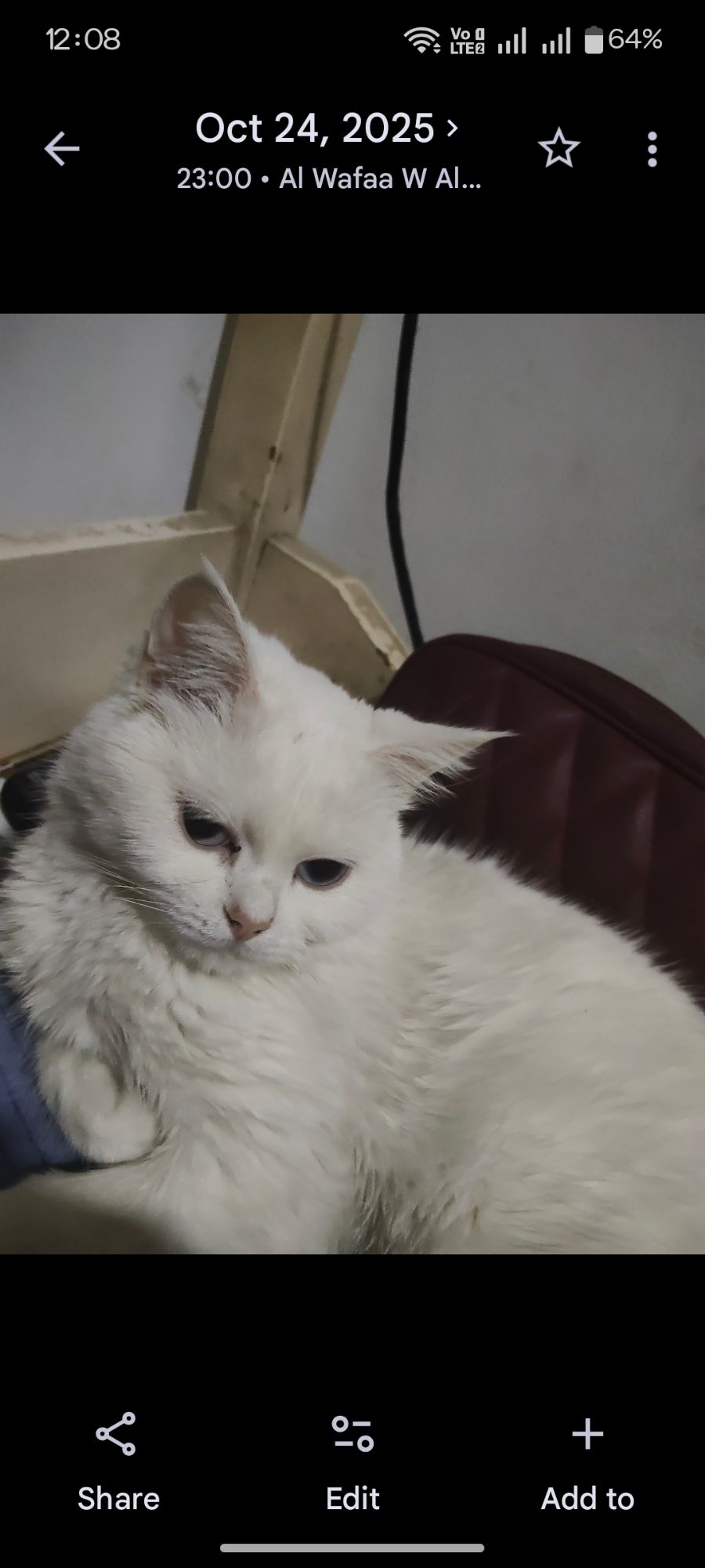 ونيس 2