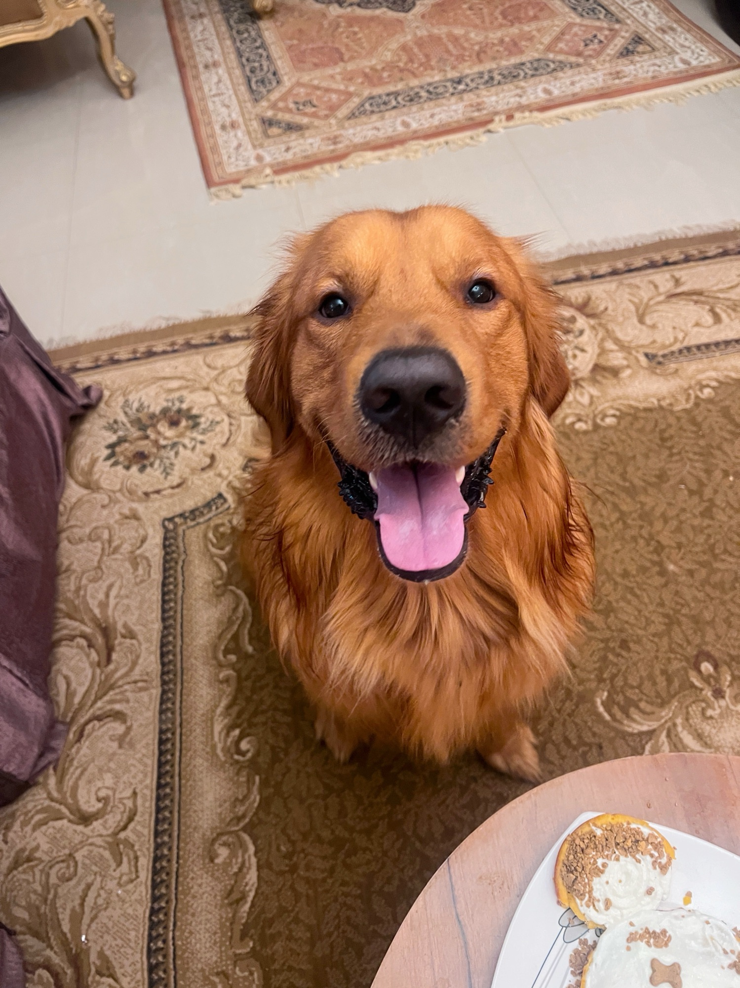 Winnie 3