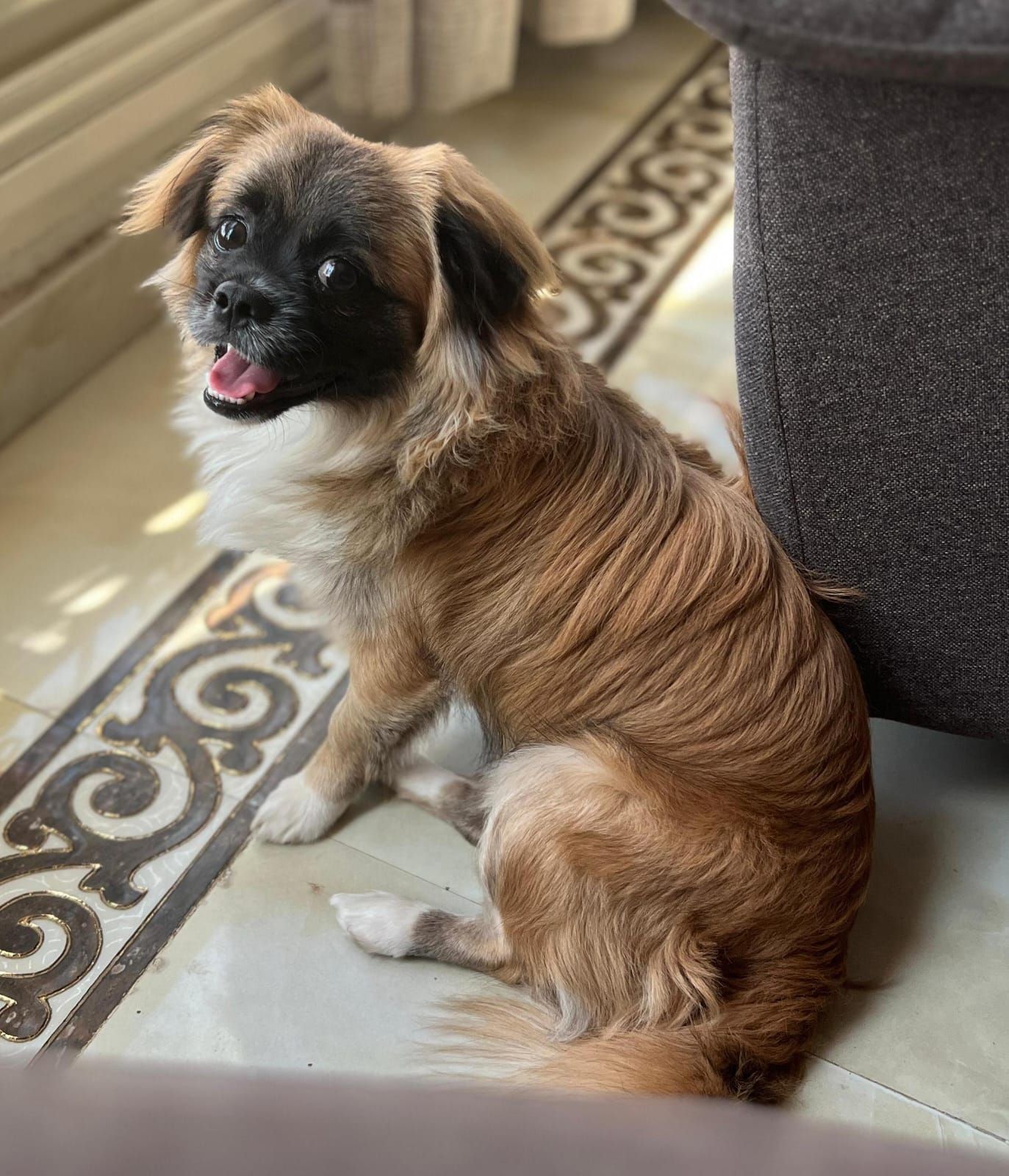 Mylo 3