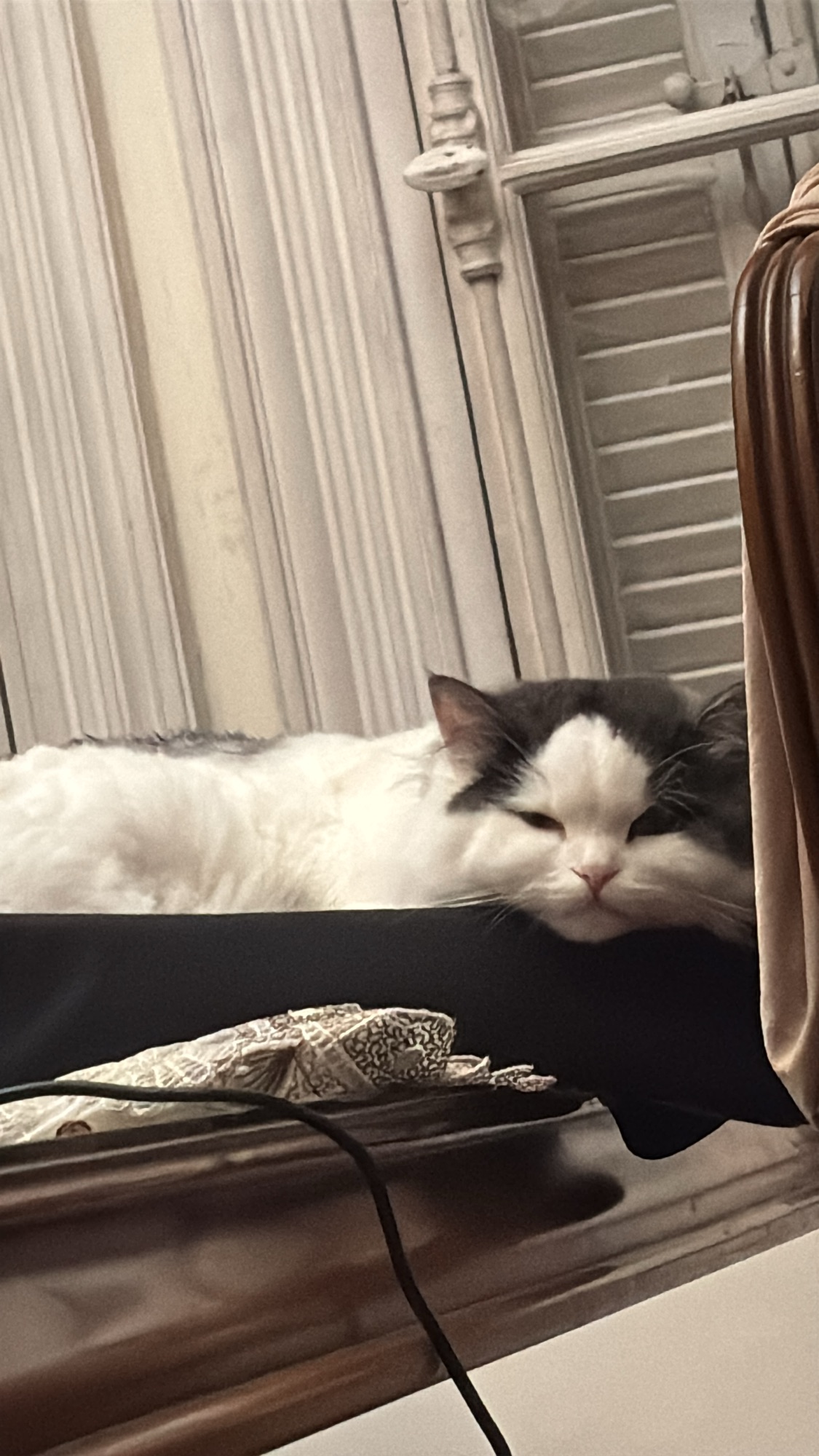 زوقلا 3