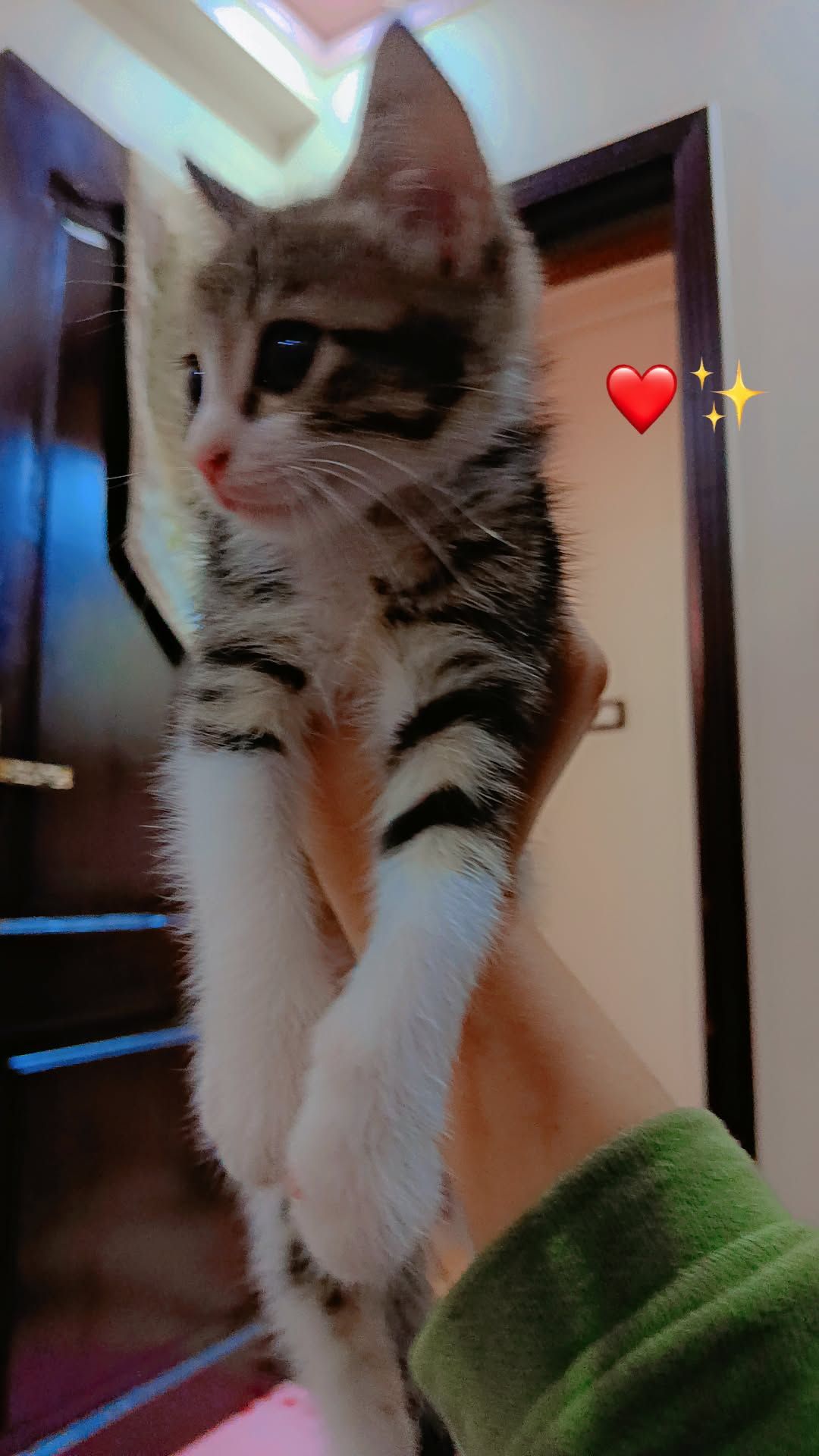 سمار 3