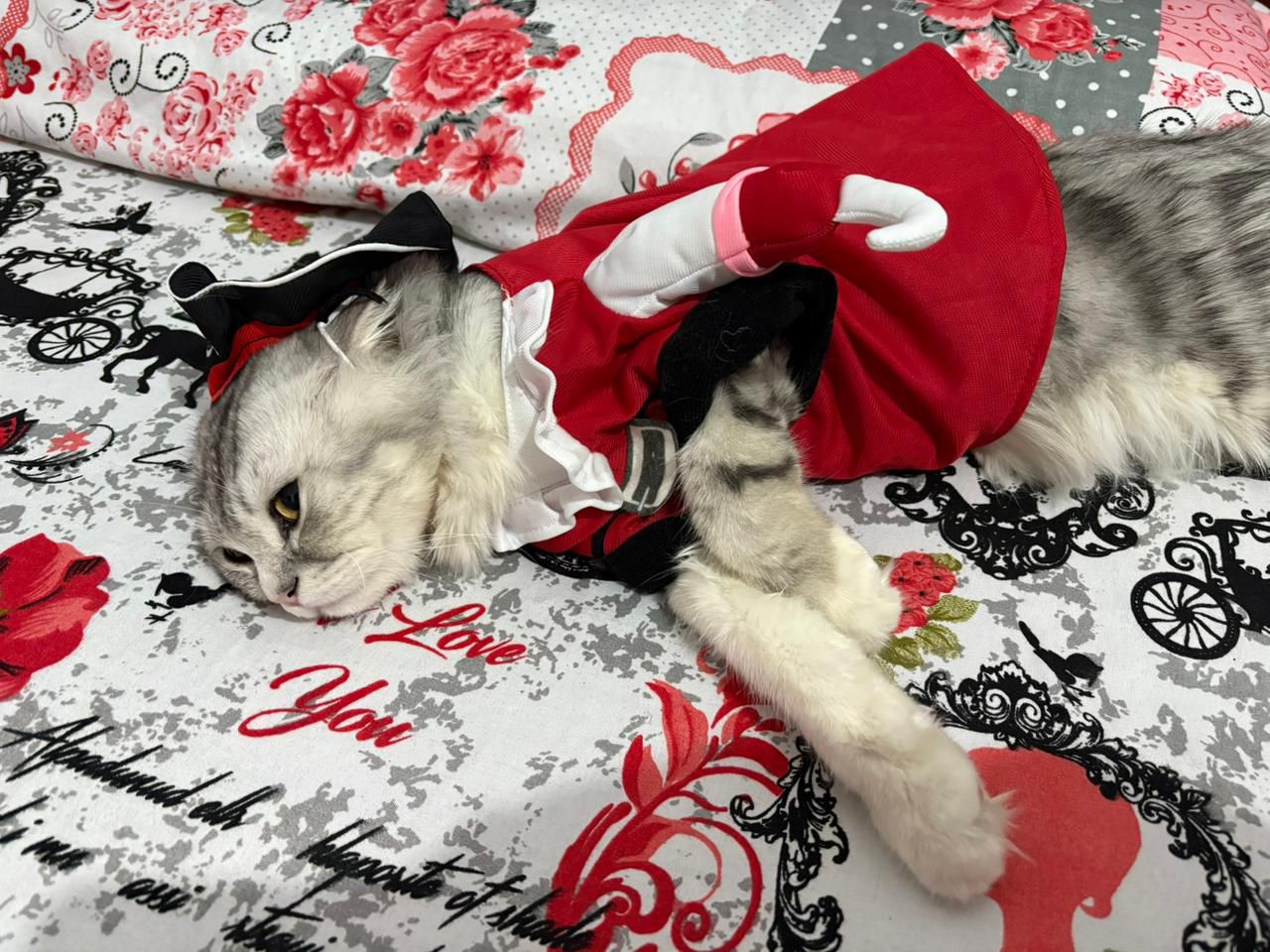 Shiko 3