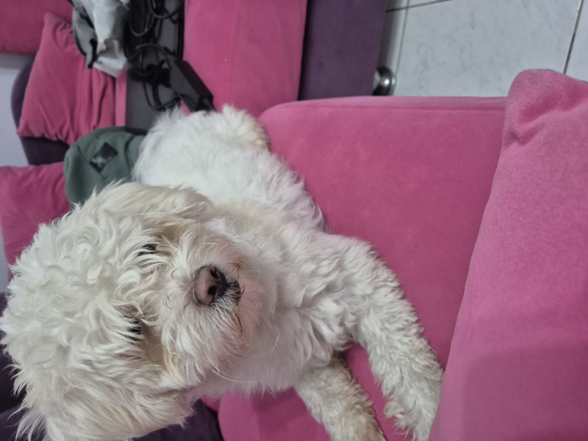 ماكس مالتيبو 3