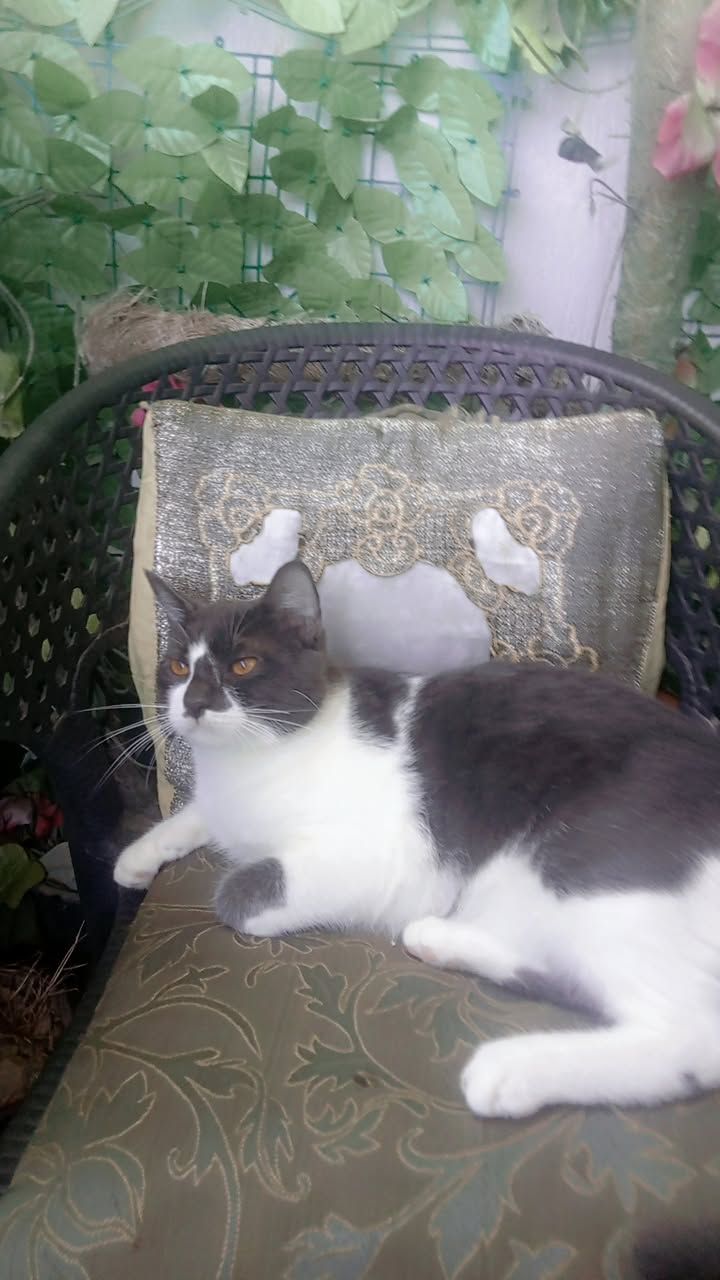 Tom 3