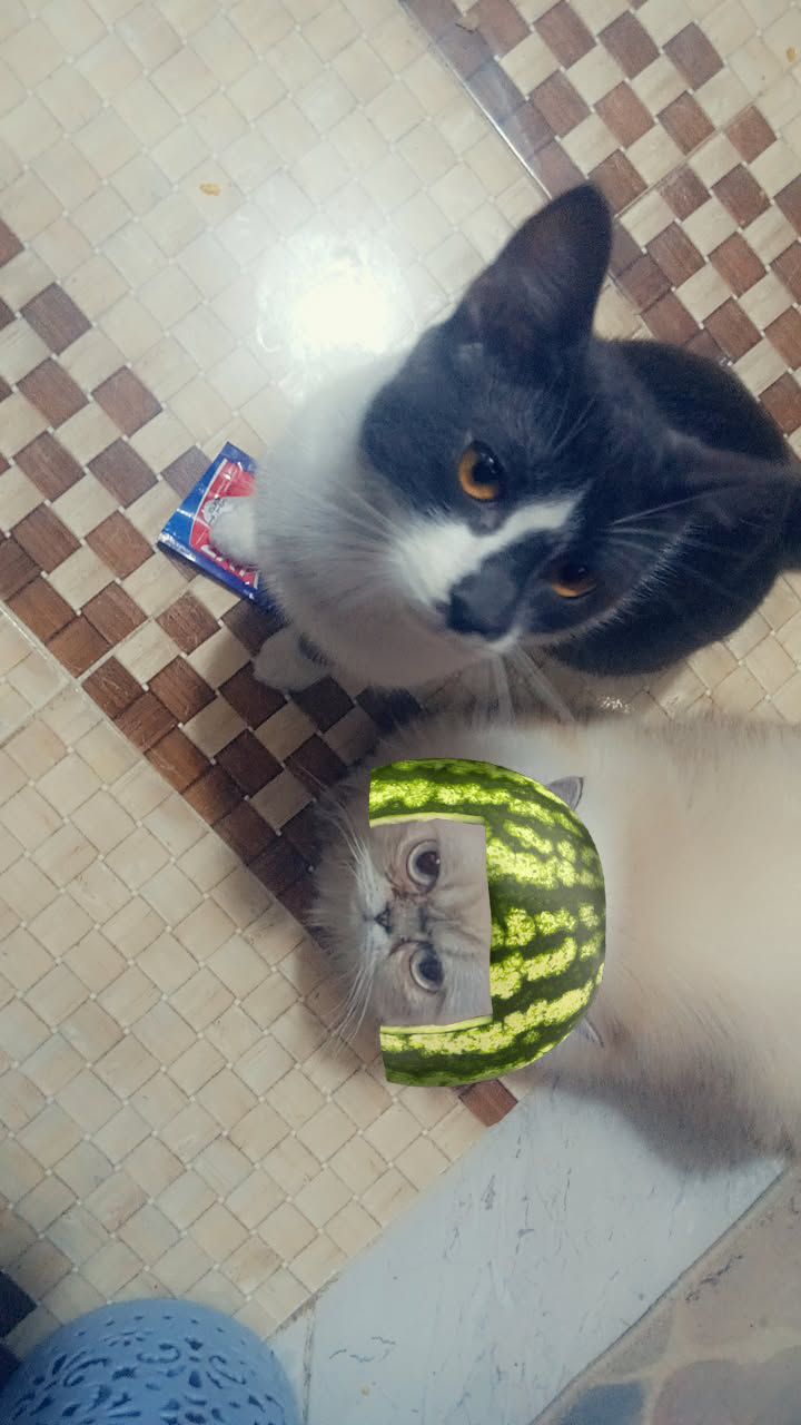 Tom 4
