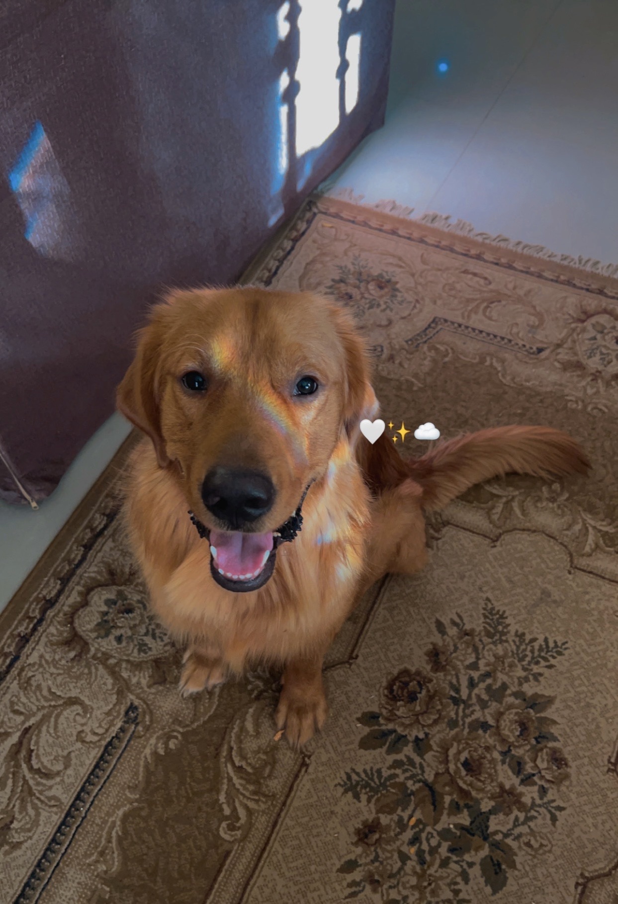 Winnie 4