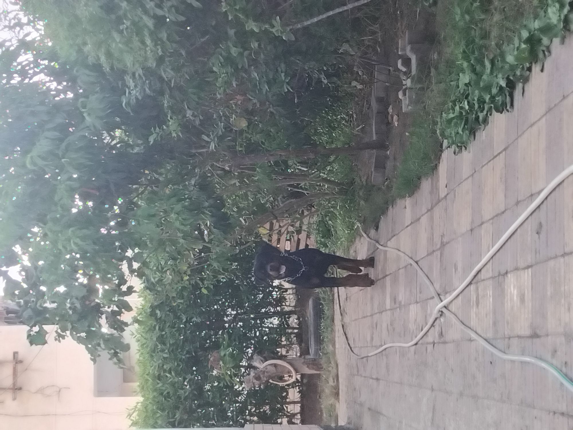 Kampus 4
