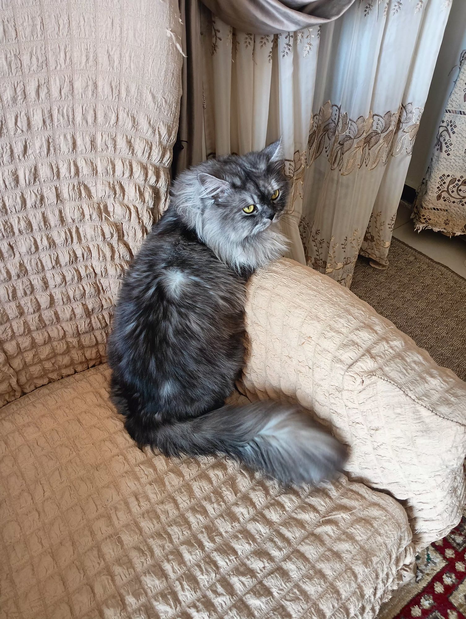لوز 4