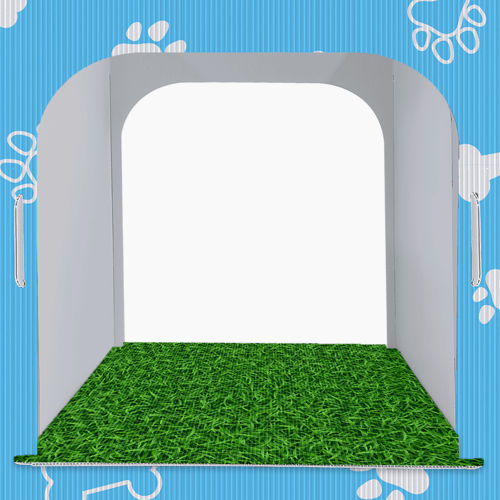 Display Expositor