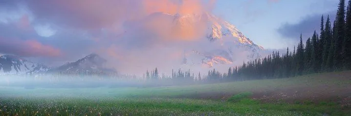 Cover photo
