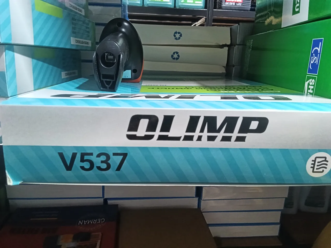 V0058/1 Yumiko(SB537 A0058)